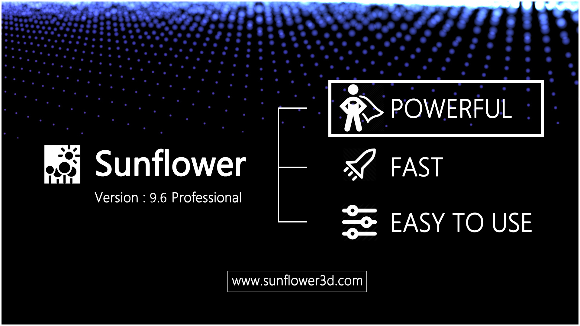 About Sunflower 1080P.jpg